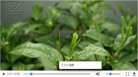 図=お茶の芽が伸びる動画への注釈